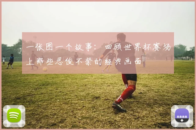 一张图一个故事:回顾世界杯赛场上那些忍俊不禁的经典画面