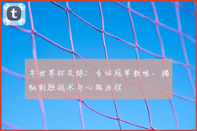 年世界杯足球：专访冠军教练，揭秘制胜战术与心路历程