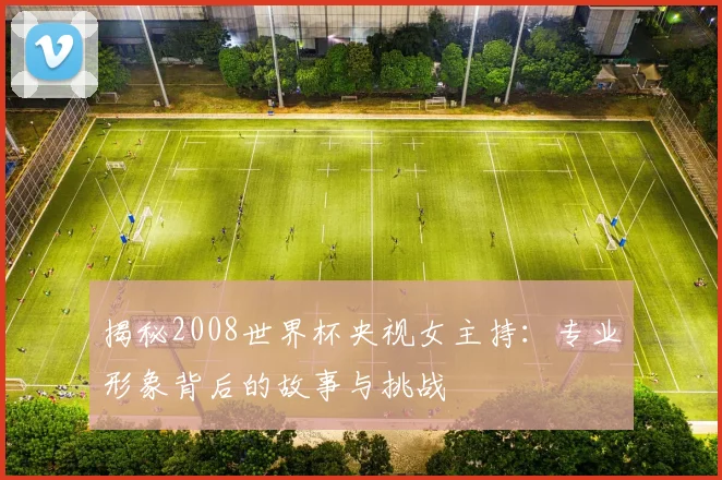 揭秘2008世界杯央视女主持:专业形象背后的故事与挑战