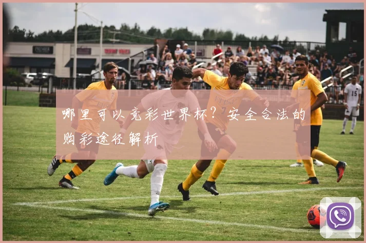 哪里可以竞彩世界杯?安全合法的购彩途径解析