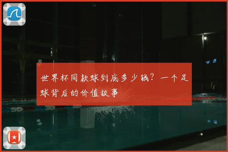 世界杯同款球到底多少钱?一个足球背后的价值故事